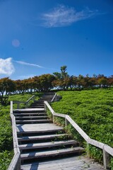 大台ヶ原の風景
