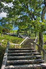 大台ヶ原の風景