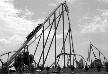 Roller coaster in black and white