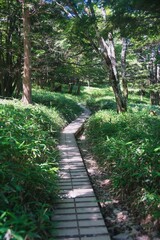 大台ヶ原の風景
