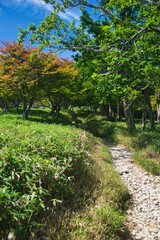大台ヶ原の風景
