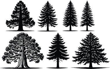 Silhouettes of six diverse tree types, botanical illustration, natural shapes, foliage density, forest elements, black vector design, nature concept