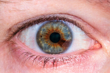 close up of human eye