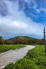 大台ヶ原の風景
