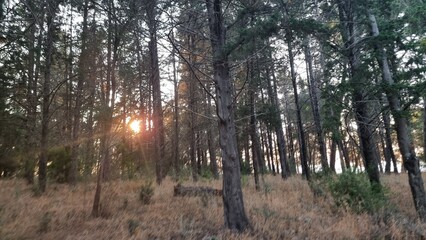 vonista city greece in summer season