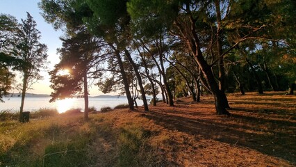 Obraz premium vonista city greece in summer season