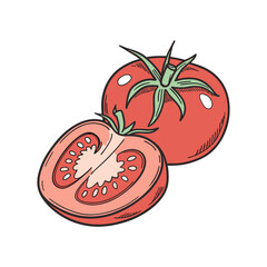 two tomato vector art illustration