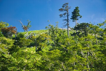 大台ヶ原の風景
