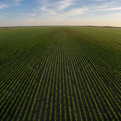 A beautiful photo collage of vibrant sunset and sunrise skies. Set of colorful cloudscapes showing dramatic atmospheric gradients.