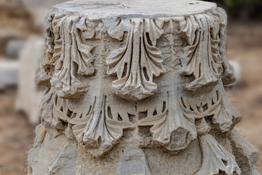 Hot summer day in Leumi Park