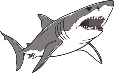 Realistic shark illustration with sharp features. Detailed shark artwork for marine wildlife. Lifelike shark drawing showing fierce expression. High quality shark design for ocean themes