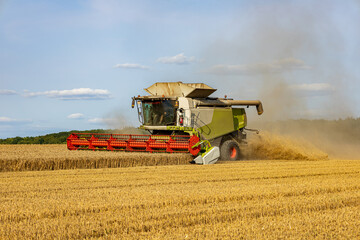 Obraz premium Heavy machinery gathers ripe wheat in a vast field, as dust rises against a background of trees and a clear sky