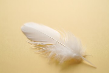 Delicate white feather floating against a soft yellow background