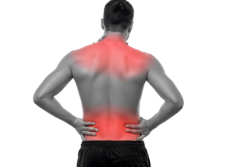 rear view of a young man