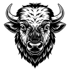Bull Head Illustration