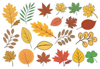 Colorful autumn leaves set. Autumnal garden leaf, red fall leaf and fallen dry leaves. Simple cartoon flat style vector illustration on white background yellow