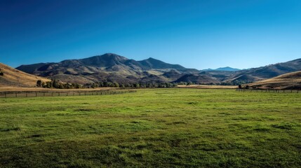 Fototapeta premium Lush Green Pasture Under Clear Blue Sky with Majestic Mountains