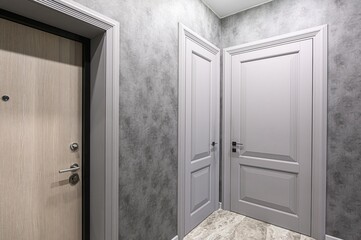 modern interior features a light wooden door on the left and two light gray paneled doors on the...