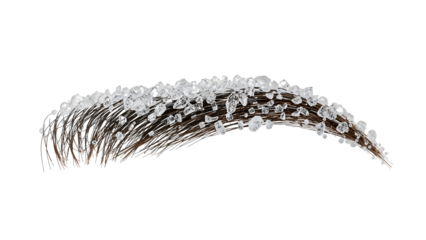 Natural eyebrow with ice crystals on brown hair isolated on the transparent background for winter beauty and skincare concepts
