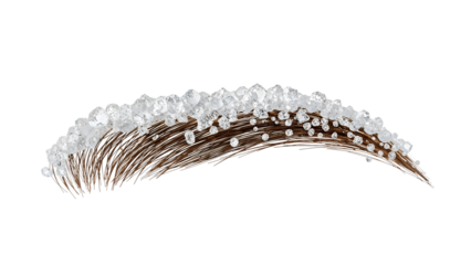 Luxury eyebrow design with crystals and diamonds on the transparent background for beauty, fashion, glamour, and makeup concepts