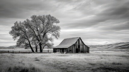 Fototapeta premium Rustic Barn Surrounded by Open Field Under Dramatic Cloudy Sky