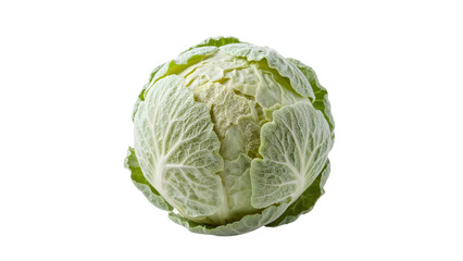 Fototapeta premium Fresh savoy cabbage isolated on the transparent background with textured wrinkled leaves ideal for healthy cooking and vegetarian meals
