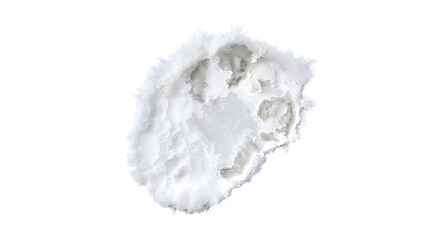 Dog paw print in fresh snow isolated on the transparent background with clear icy texture and winter details