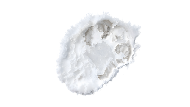 Dog paw print in fresh snow isolated on the transparent background with clear icy texture and winter details