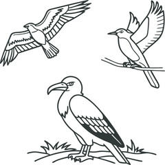 Icon of different birds for graphic design and web.eps