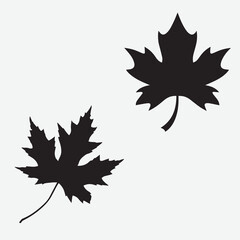 Silhouette Maple Leaf Vectors design