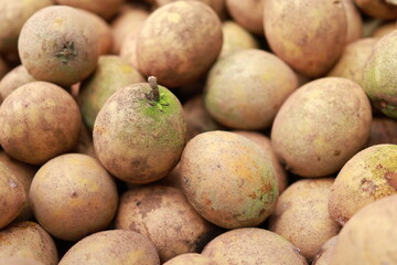Sapodilla fruit on store counter