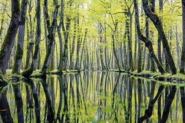 Canal through a vibrant spring forest