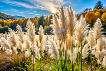 Tall flowering grass on green meadow at sunrise or sunset