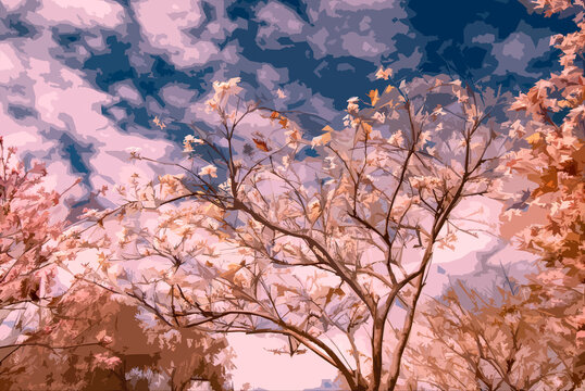 fotograf&iacute;a con filtro cuarteado de photoshop, con un cielo azul y un &aacute;rbol almendro en flor 