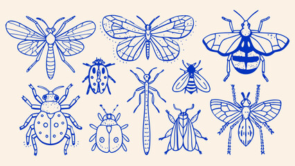 Minimalist hand drawn sketch insects vector illustration.
