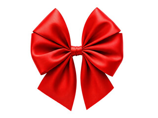 Fototapeta premium Bow isolated on transparent background.