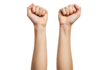 Raised Fists: Two Arms Extending Upwards with Clenched Fists, Isolated Against a White Background, Symbolizing Power or Protest
