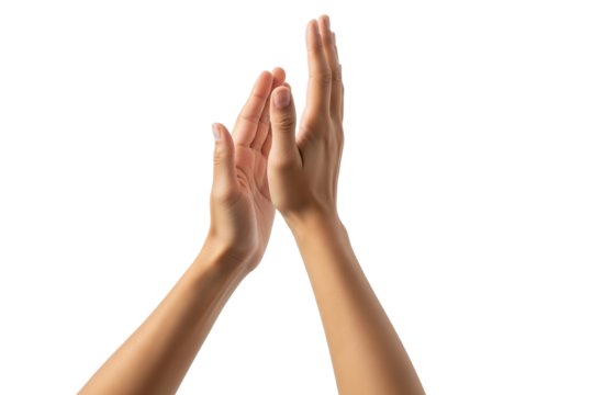 Close-up of female hands clapping against white background, expressing approval, appreciation, celebration, support, encouragement, recognition, positivity, and unity on transparent background