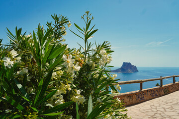 White flowers in the foreground with the Peñón de Ifach and Mediterranean Sea in the background,...
