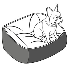 Cute french bulldog sitting comfortably in a soft dog bed with a collar