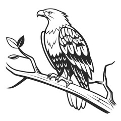 Majestic eagle perched on a tree branch with leaves in a stylized outline drawing