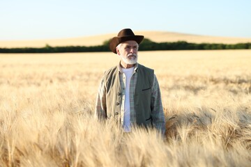 Senior farmer in field with ripe wheat outdoors