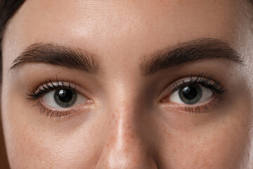 Fototapeta premium Eyebrow styling. Young woman with beautiful eyebrows, closeup