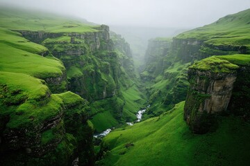 Misty valley, verdant canyon, rugged cliffs