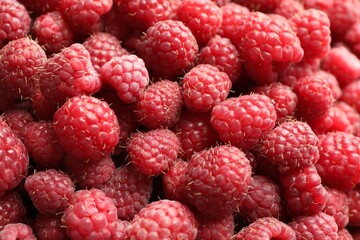 Many fresh ripe raspberries as background, top view