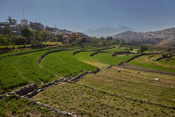 Under the watchful gaze of the Misti volcano, the ancient Inca terraces of Arequipa unfold in...