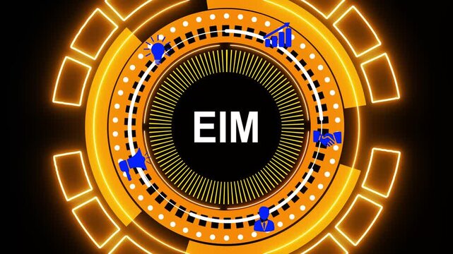 EIM Enterprise information management system. EIM (Enterprise Information Management) is the strategic approach to managing an organization&rsquo;s data