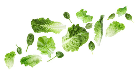 Fresh lettuce and spinach leaves flying against white background