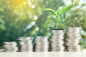 Savings concept. Stacked coins and green sprout on table against blurred background