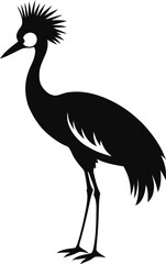 Black crowned crane silhouette isolated on white background